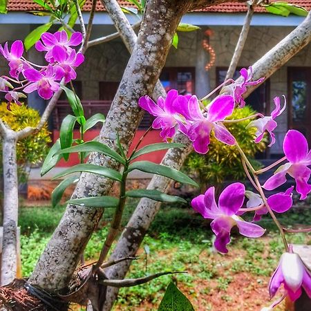 Vedic Heritage Boutique Hotel Ковалам Екстериор снимка