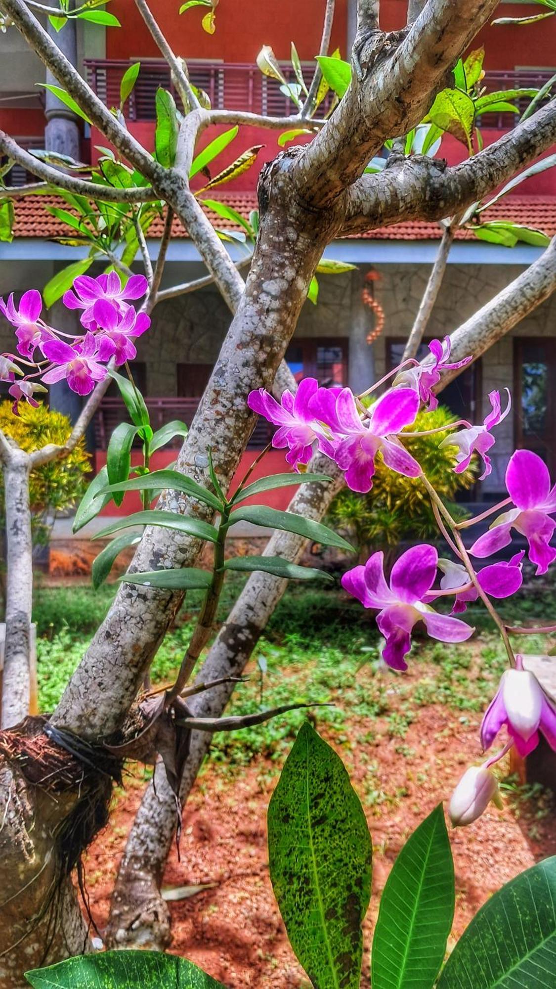 Vedic Heritage Boutique Hotel Ковалам Екстериор снимка
